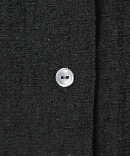 green label relaxing / グリーンレーベル リラクシング シャツ・ブラウス | ジャガード シャツ | 詳細11