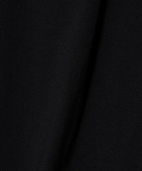 green label relaxing / グリーンレーベル リラクシング Tシャツ | 【WEB限定】＜THE NORTH FACE＞ショートスリーブ ヒストリカル ロゴ Tシャツ | 詳細8