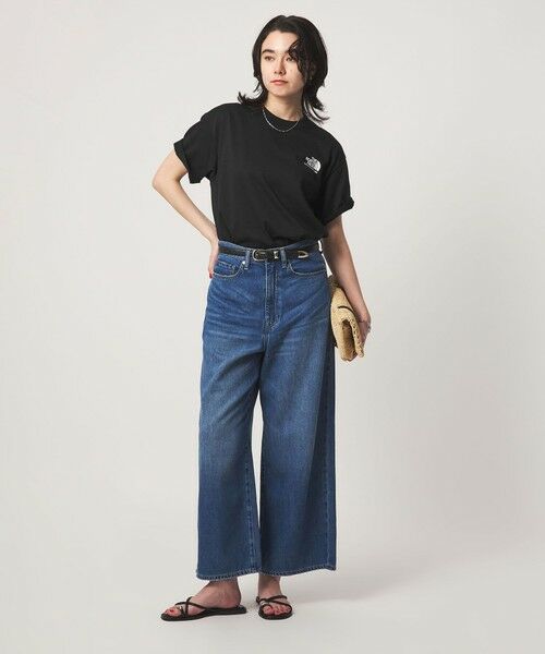 green label relaxing / グリーンレーベル リラクシング Tシャツ | 【WEB限定】＜THE NORTH FACE＞ショートスリーブ ヒストリカル ロゴ Tシャツ | 詳細8