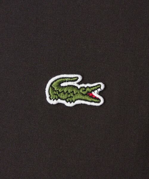 green label relaxing / グリーンレーベル リラクシング Tシャツ | ＜LACOSTE＞ショートスリーブ Tシャツ | 詳細21