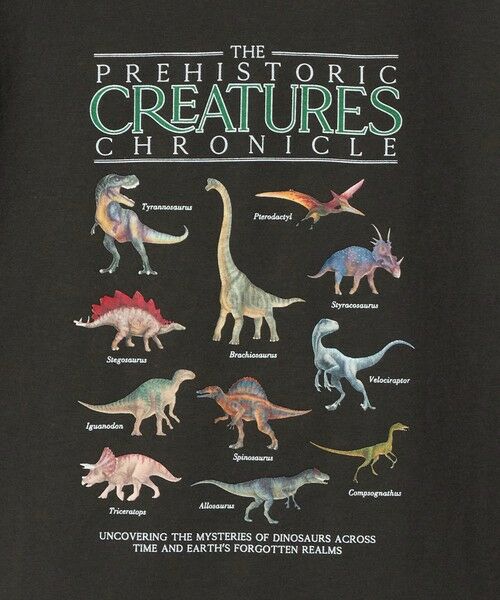 green label relaxing / グリーンレーベル リラクシング カットソー | ダイナソー Tシャツ / キッズ  100cm-130cm | 詳細4