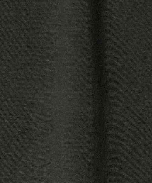 green label relaxing / グリーンレーベル リラクシング カットソー | ダイナソー Tシャツ / キッズ  100cm-130cm | 詳細5