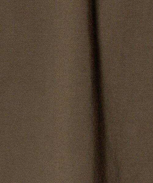 green label relaxing / グリーンレーベル リラクシング カットソー | ダイナソー Tシャツ / キッズ  100cm-130cm | 詳細10