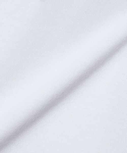 green label relaxing / グリーンレーベル リラクシング カットソー | 【WEB限定】＜THE NORTH FACE＞スモールボックス ロゴTシャツ 110cm-120cm | 詳細2