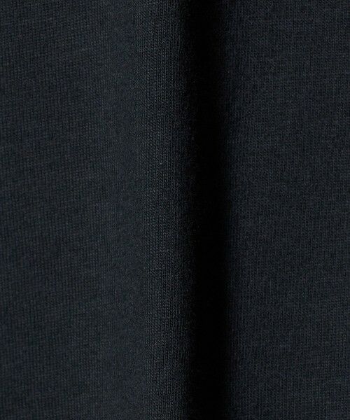 green label relaxing / グリーンレーベル リラクシング カットソー | ＜Champion＞ボストン ショートスリーブ Tシャツ / キッズ 110cm-130cm | 詳細10