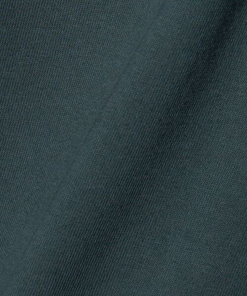 green label relaxing / グリーンレーベル リラクシング カットソー | 【別注】＜WILD THINGS＞ ロゴ ショートスリーブ Tシャツ / キッズ 110cm-130cm | 詳細13