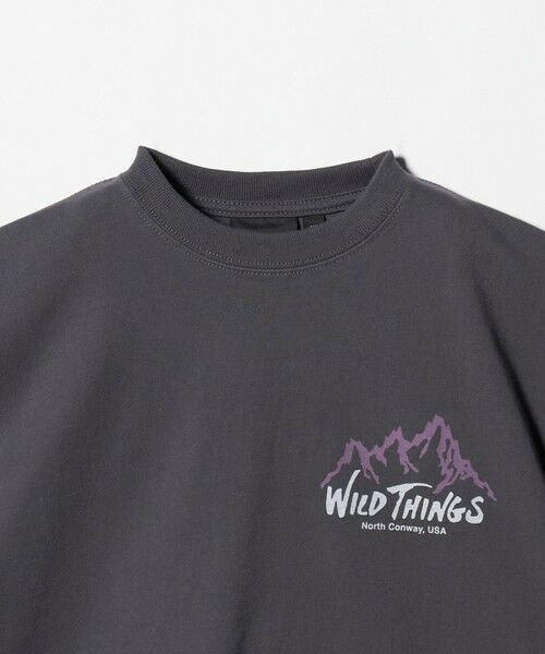 green label relaxing / グリーンレーベル リラクシング カットソー | 【別注】＜WILD THINGS＞ マウンテン ショートスリーブ Tシャツ / キッズ 110cm-130cm | 詳細2