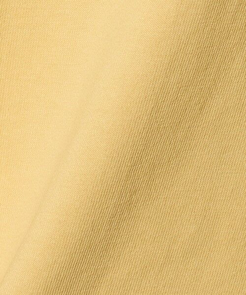 green label relaxing / グリーンレーベル リラクシング カットソー | 【別注】＜WILD THINGS＞ マウンテン ショートスリーブ Tシャツ / キッズ 110cm-130cm | 詳細8