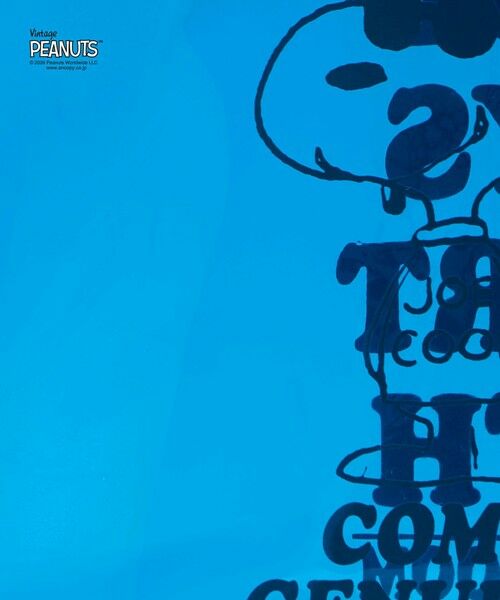 green label relaxing / グリーンレーベル リラクシング トートバッグ | 【別注】＜FRUIT OF THE LOOM×PEANUTS＞ PVC トートバッグ / キッズ | 詳細14