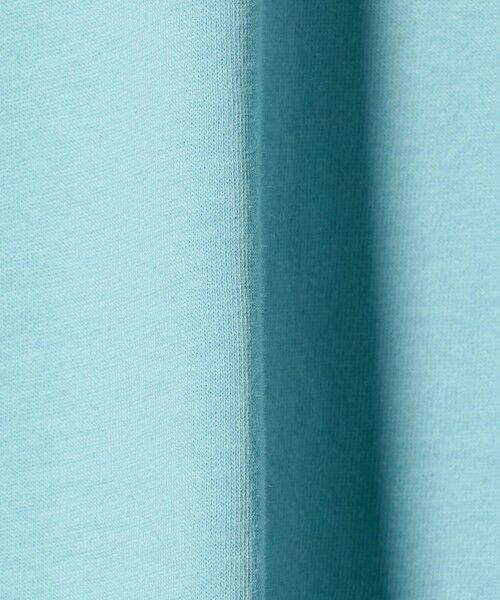 green label relaxing / グリーンレーベル リラクシング カットソー | ＜Champion＞ボストン ショートスリーブ Tシャツ / キッズ 140cm-160cm | 詳細22