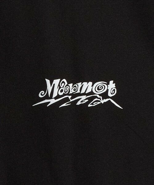 green label relaxing / グリーンレーベル リラクシング カットソー | 【別注】＜Marmot＞ラッシュ Tシャツ/ キッズ 140cm-150cm | 詳細5