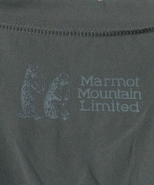 green label relaxing / グリーンレーベル リラクシング カットソー | 【別注】＜Marmot＞ラッシュ Tシャツ/ キッズ 140cm-150cm | 詳細15