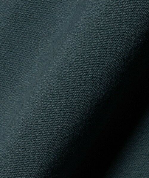 green label relaxing / グリーンレーベル リラクシング カットソー | 【別注】＜WILD THINGS＞ ロゴ ショートスリーブ Tシャツ / キッズ 140cm-160cm | 詳細14