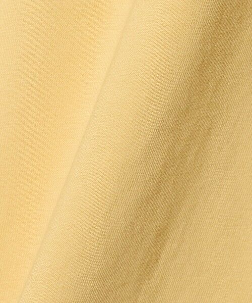 green label relaxing / グリーンレーベル リラクシング カットソー | 【別注】＜WILD THINGS＞ マウンテン ショートスリーブ Tシャツ / キッズ 140cm-160cm | 詳細9