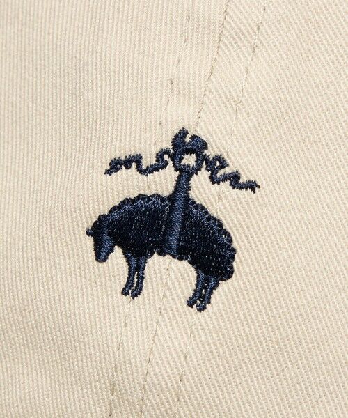 green label relaxing / グリーンレーベル リラクシング キャップ | ＜Brooks Brothers＞New Era 9FORTY EX キャップ | 詳細13