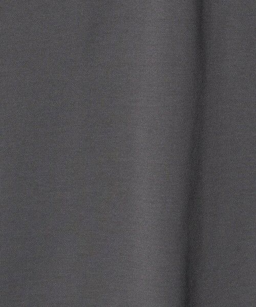 green label relaxing / グリーンレーベル リラクシング Tシャツ | 【WEB限定】＜THE NORTH FACE＞テクニカル アウトドア 半袖 Tシャツ | 詳細15