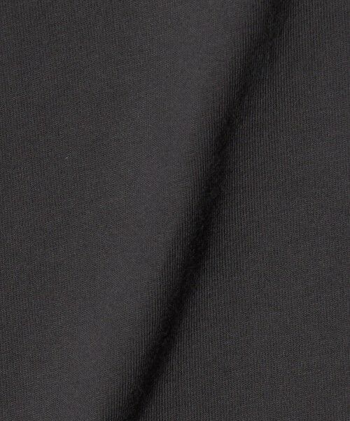 green label relaxing / グリーンレーベル リラクシング Tシャツ | 【別注】＜OAFISH＞フロッキー ショートスリーブ Tシャツ | 詳細3