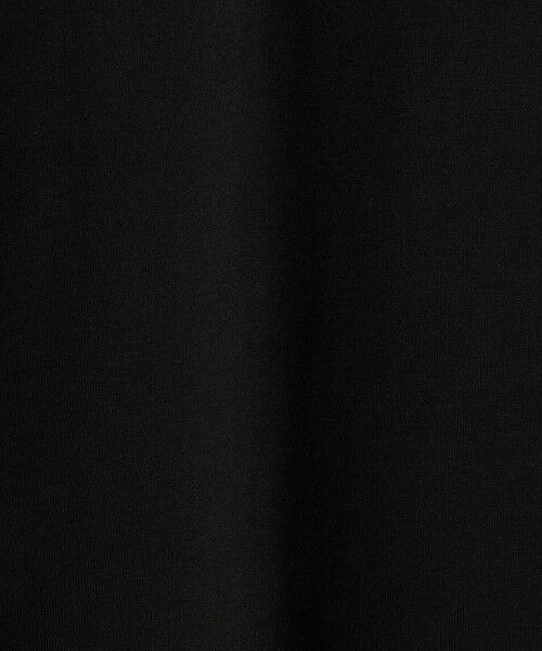 green label relaxing / グリーンレーベル リラクシング カットソー | ＜THE NORTH FACE＞ヒストリカル ロゴ Tシャツ / キッズ 110cm-120cm | 詳細8