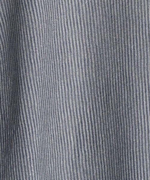 green label relaxing / グリーンレーベル リラクシング シャツ・ブラウス | ＜RYE TENDER＞SOMERSET SHIRTS サマセット 半袖 シャツ | 詳細8