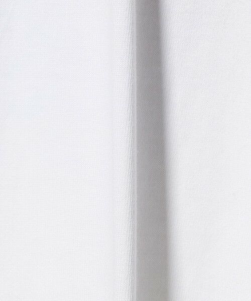 green label relaxing / グリーンレーベル リラクシング Tシャツ | 【別注】＜SCREEN STARS＞GLR シーフード 半袖 Tシャツ | 詳細11