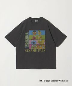 green label relaxing / グリーンレーベル リラクシング Tシャツ | 【別注】＜URBAMENT＞「セサミストリート」半袖 Tシャツ