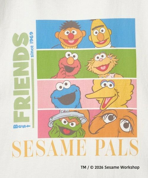green label relaxing / グリーンレーベル リラクシング Tシャツ | 【別注】＜URBAMENT＞「セサミストリート」半袖 Tシャツ | 詳細2