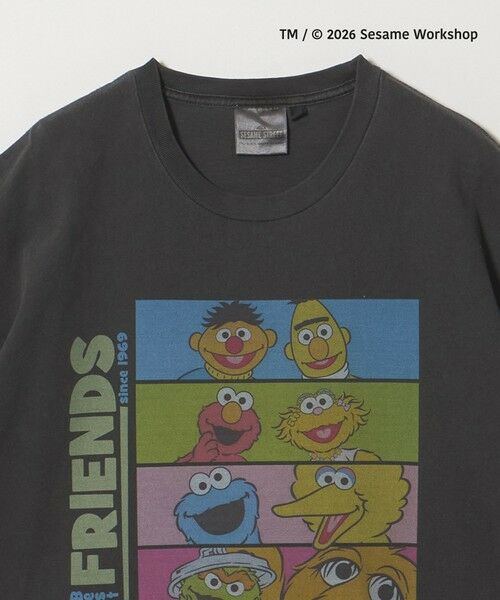 green label relaxing / グリーンレーベル リラクシング Tシャツ | 【別注】＜URBAMENT＞「セサミストリート」半袖 Tシャツ | 詳細4