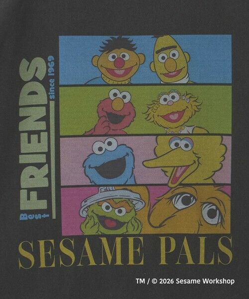 green label relaxing / グリーンレーベル リラクシング Tシャツ | 【別注】＜URBAMENT＞「セサミストリート」半袖 Tシャツ | 詳細5