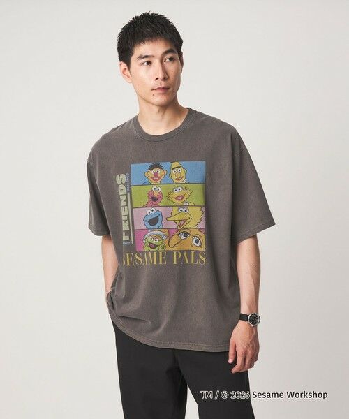 green label relaxing / グリーンレーベル リラクシング Tシャツ | 【別注】<URBAMENT>「セサミストリート」半袖 Tシャツ | 詳細4