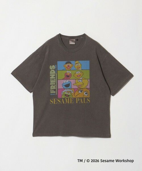 green label relaxing / グリーンレーベル リラクシング Tシャツ | 【別注】＜URBAMENT＞「セサミストリート」半袖 Tシャツ | 詳細8