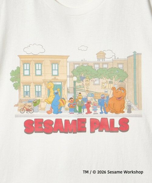 green label relaxing / グリーンレーベル リラクシング Tシャツ | 【別注】＜URBAMENT＞「セサミストリート」半袖 Tシャツ | 詳細19