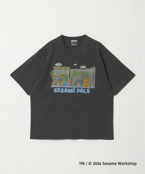 green label relaxing / グリーンレーベル リラクシング Tシャツ | 【別注】＜URBAMENT＞「セサミストリート」半袖 Tシャツ（その他5）