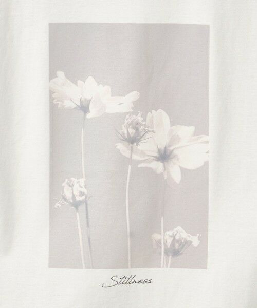 green label relaxing / グリーンレーベル リラクシング カットソー（半袖以外） | フォトプリント フレンチスリーブ Tシャツ 接触冷感 | 詳細29