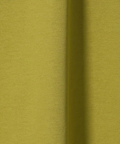 green label relaxing / グリーンレーベル リラクシング Tシャツ | クリア MVS スキッパー 半袖 ポロシャツ | 詳細13