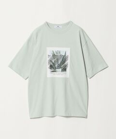 green label relaxing / グリーンレーベル リラクシング Tシャツ | ＜Phospho Graphica＞グラフィック 半袖 Tシャツ カットソー