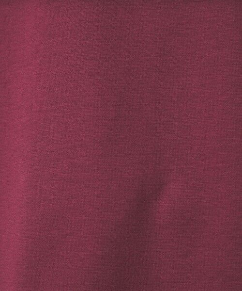 green label relaxing / グリーンレーベル リラクシング Tシャツ | クロップド ポンチ Tシャツ 2 | 詳細13