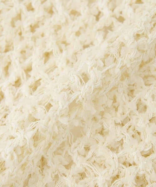 green label relaxing / グリーンレーベル リラクシング ニット・セーター | ＜SEASONAL COLLECTION＞フリンジ ニット ジレ | 詳細14