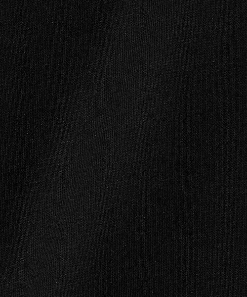 green label relaxing / グリーンレーベル リラクシング カットソー | 【WEB限定】＜THE NORTH FACE＞ ボックス ロゴ ロングスリーブ Tシャツ / キッズ 110cm-120cm | 詳細4