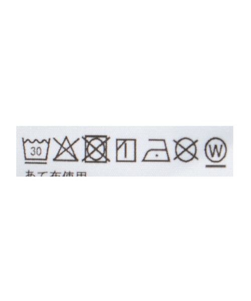 green label relaxing / グリーンレーベル リラクシング カットソー | 【WEB限定】＜THE NORTH FACE＞ ボックス ロゴ ロングスリーブ Tシャツ / キッズ 110cm-120cm | 詳細13
