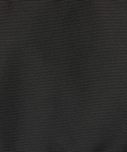 green label relaxing / グリーンレーベル リラクシング リュック・バックパック | 【WEB限定】＜THE NORTH FACE＞ ホームスライス バックパック / キッズ（8L） | 詳細5