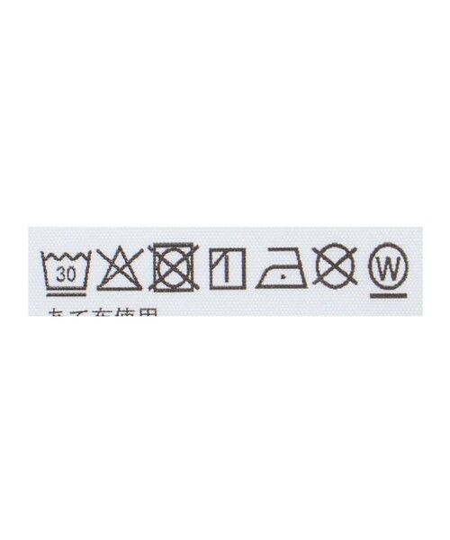 green label relaxing / グリーンレーベル リラクシング カットソー | 【WEB限定】＜THE NORTH FACE＞ ボックス ロゴ ロングスリーブ Tシャツ / キッズ 130cm-160cm | 詳細13