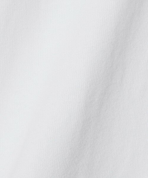 green label relaxing / グリーンレーベル リラクシング カットソー | 【WEB限定】ヘビーウェイト ロングスリーブ Tシャツ | 詳細2