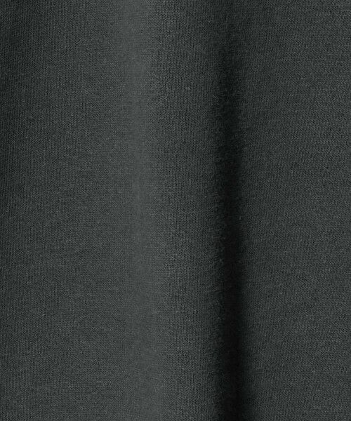 green label relaxing / グリーンレーベル リラクシング スウェット | 【WEB限定】＜GOAT＞ボックス クルーネック スウェット 15.5オンス | 詳細4
