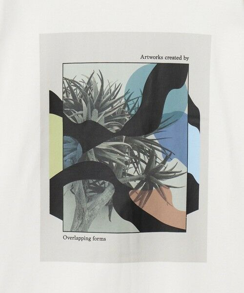 green label relaxing / グリーンレーベル リラクシング カットソー | ＜Phospho Graphica＞グラフィック 長袖 Tシャツ カットソー | 詳細2