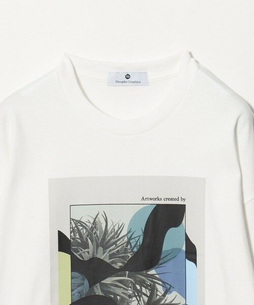 green label relaxing / グリーンレーベル リラクシング カットソー | ＜Phospho Graphica＞グラフィック 長袖 Tシャツ カットソー | 詳細1