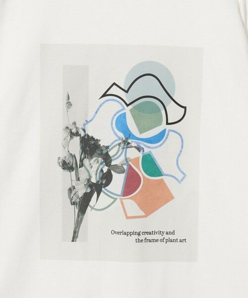 green label relaxing / グリーンレーベル リラクシング カットソー | ＜Phospho Graphica＞グラフィック 長袖 Tシャツ カットソー | 詳細12