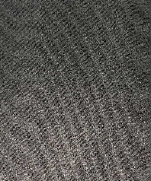 green label relaxing / グリーンレーベル リラクシング カットソー | 【別注】＜SCREEN STARS＞サンフェード 長袖 Tシャツ | 詳細4