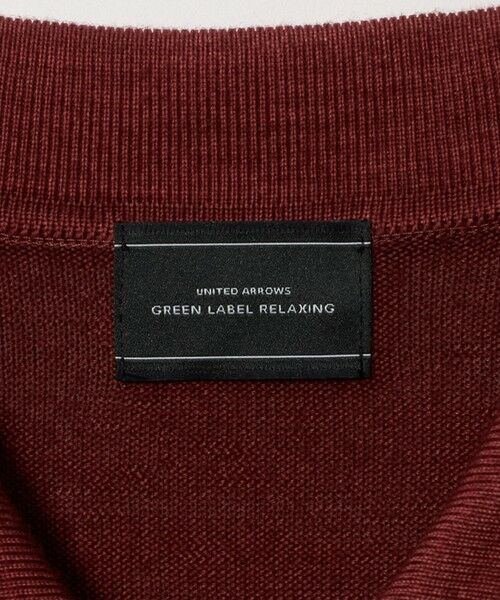 green label relaxing / グリーンレーベル リラクシング ニット・セーター | スノーダイ ウール ニット 長袖 ポロシャツ | 詳細8
