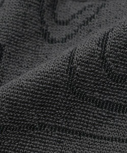 green label relaxing / グリーンレーベル リラクシング タオル | 【WEB限定】＜THE NORTH FACE＞ライト コットン タオル M | 詳細2