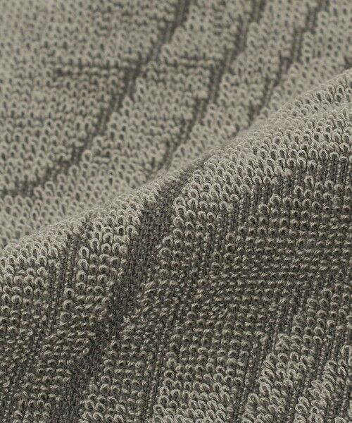 green label relaxing / グリーンレーベル リラクシング タオル | 【WEB限定】＜THE NORTH FACE＞ライト コットン タオル M | 詳細5